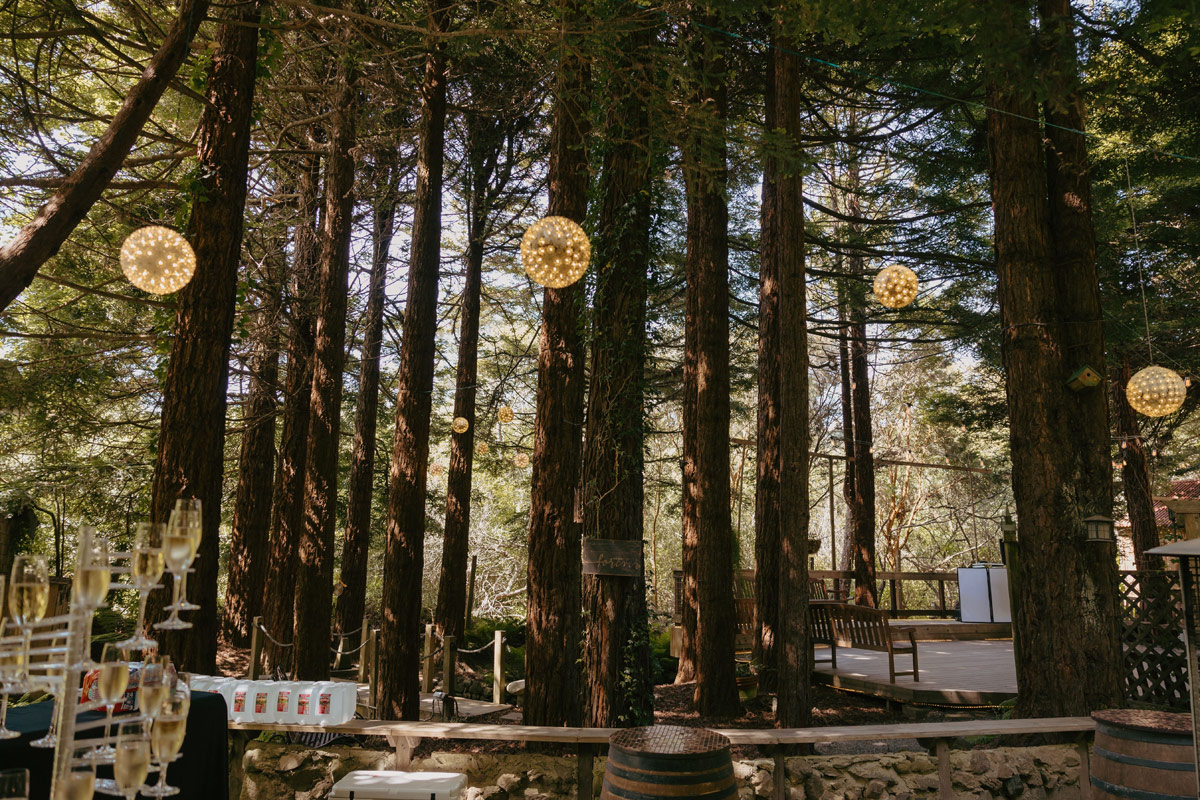 decoratie_bruiloft_in_het_bos