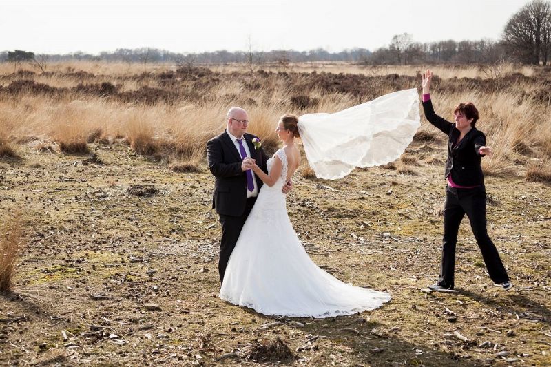 Ariena's Weddings