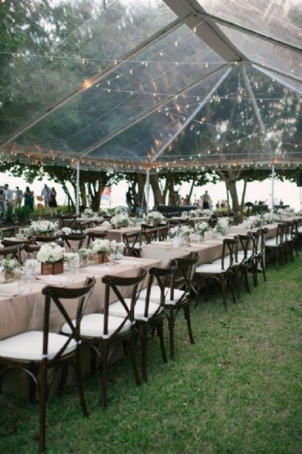 PLUK Events
